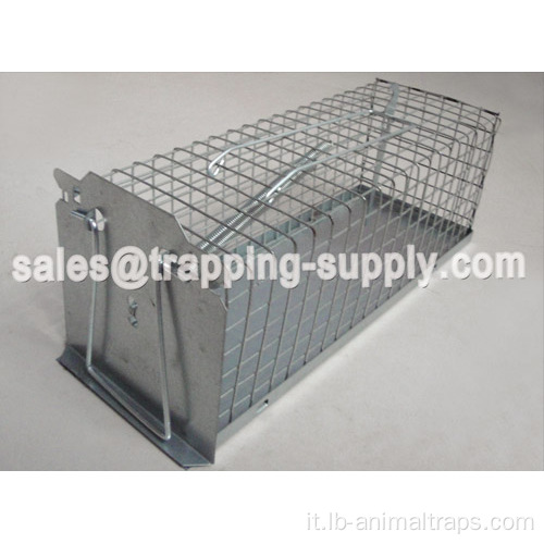 Piccola trappola a gabbia a singolo ratto